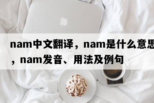 nam中文翻譯，nam是什么意思，nam發(fā)音、用法及例句