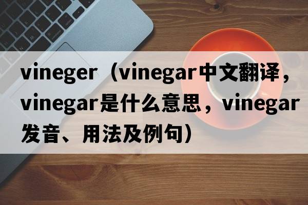 vineger（vinegar中文翻譯，vinegar是什么意思，vinegar發(fā)音、用法及例句）