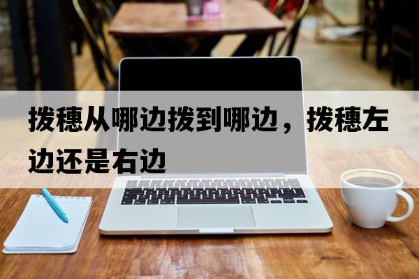 撥穗從哪邊撥到哪邊，撥穗左邊還是右邊
