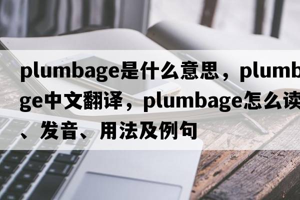 plumbage是什么意思，plumbage中文翻譯，plumbage怎么讀、發(fā)音、用法及例句
