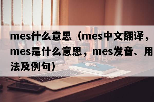 mes什么意思（mes中文翻譯，mes是什么意思，mes發(fā)音、用法及例句）