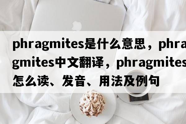 Phragmites是什么意思，Phragmites中文翻譯，Phragmites怎么讀、發(fā)音、用法及例句