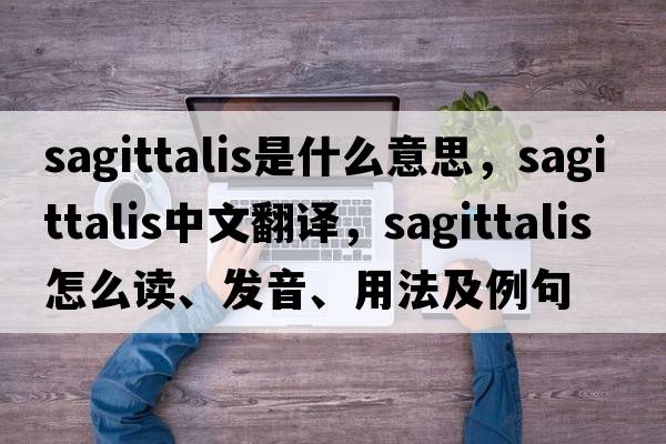 sagittalis是什么意思，sagittalis中文翻譯，sagittalis怎么讀、發(fā)音、用法及例句