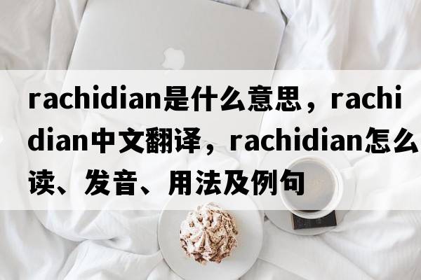 rachidian是什么意思，rachidian中文翻譯，rachidian怎么讀、發(fā)音、用法及例句