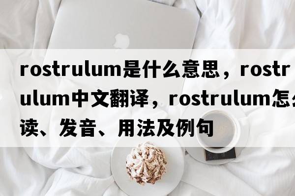 rostrulum是什么意思，rostrulum中文翻譯，rostrulum怎么讀、發(fā)音、用法及例句