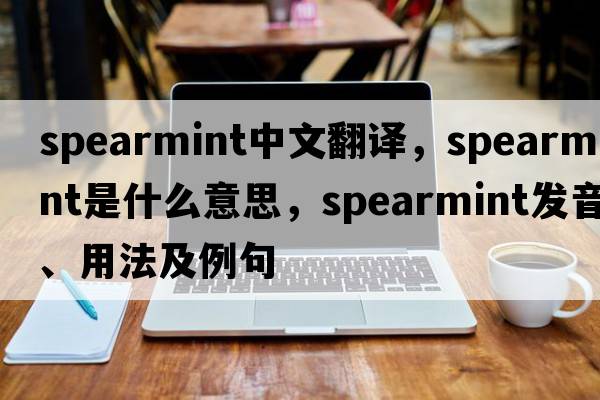 spearmint中文翻譯，spearmint是什么意思，spearmint發(fā)音、用法及例句