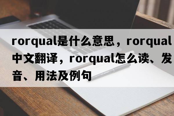 rorqual是什么意思，rorqual中文翻譯，rorqual怎么讀、發(fā)音、用法及例句