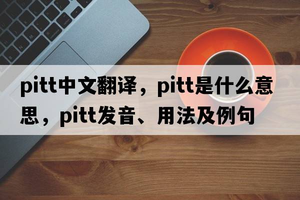 Pitt中文翻譯，Pitt是什么意思，Pitt發(fā)音、用法及例句