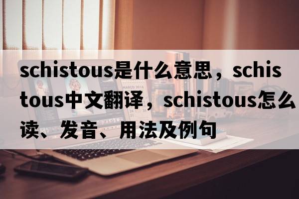 schistous是什么意思，schistous中文翻譯，schistous怎么讀、發(fā)音、用法及例句