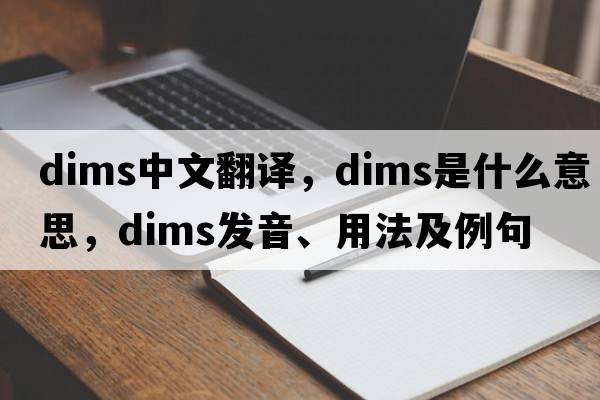 dims中文翻譯，dims是什么意思，dims發(fā)音、用法及例句