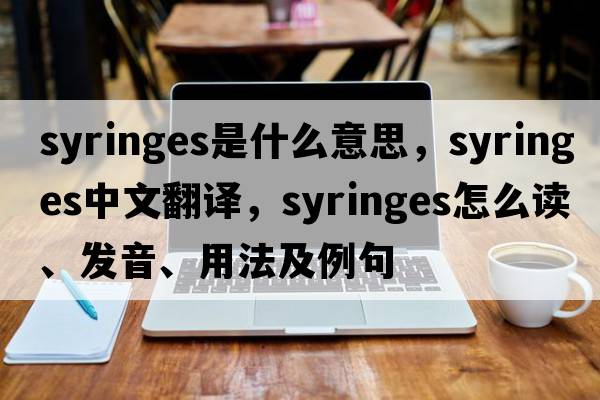 syringes是什么意思，syringes中文翻譯，syringes怎么讀、發(fā)音、用法及例句