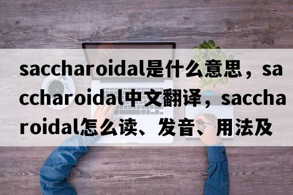 saccharoidal是什么意思，saccharoidal中文翻譯，saccharoidal怎么讀、發(fā)音、用法及例句