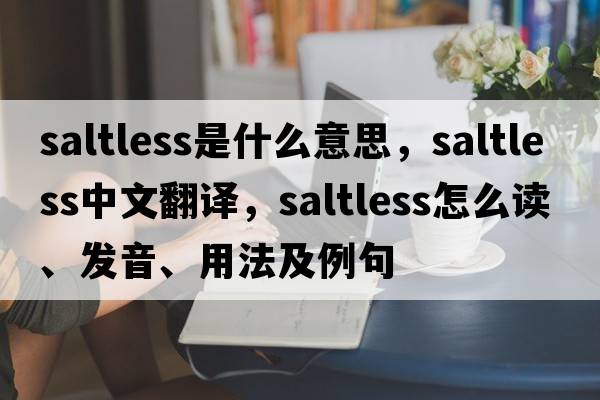saltless是什么意思，saltless中文翻譯，saltless怎么讀、發(fā)音、用法及例句