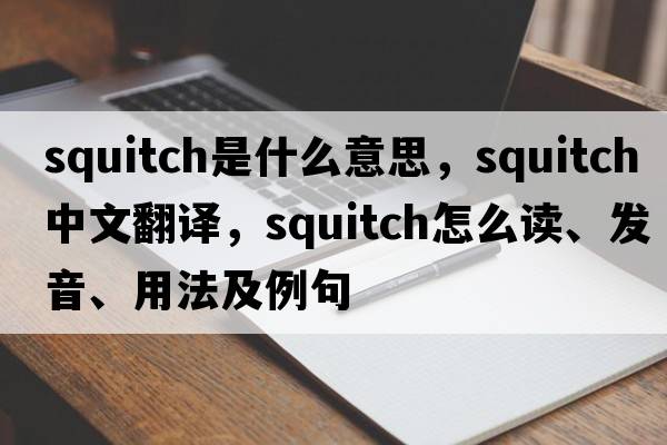 squitch是什么意思，squitch中文翻譯，squitch怎么讀、發(fā)音、用法及例句