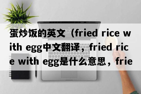 蛋炒飯的英文（fried rice with egg中文翻譯，fried rice with egg是什么意思，fried rice with egg發(fā)音、用法及例句）
