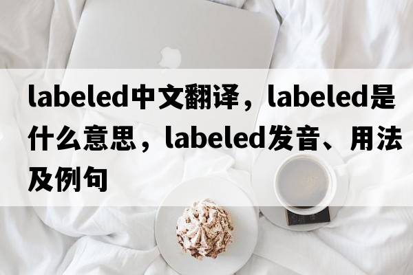labeled中文翻譯，labeled是什么意思，labeled發(fā)音、用法及例句