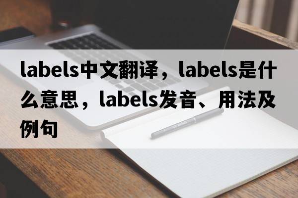 labels中文翻譯，labels是什么意思，labels發(fā)音、用法及例句