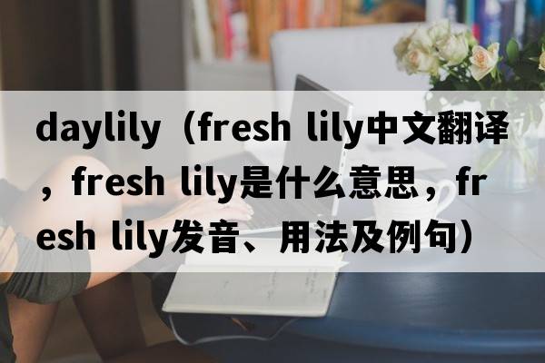 daylily（fresh lily中文翻譯，fresh lily是什么意思，fresh lily發(fā)音、用法及例句）