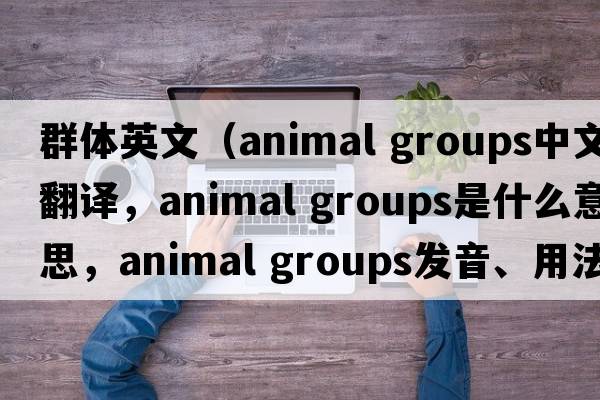 群體英文（animal groups中文翻譯，animal groups是什么意思，animal groups發(fā)音、用法及例句）