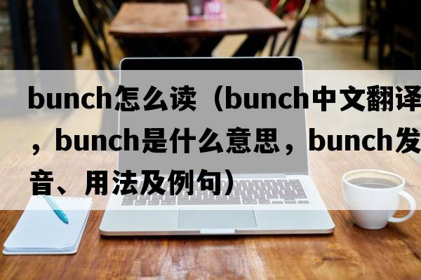 bunch怎么讀（bunch中文翻譯，bunch是什么意思，bunch發(fā)音、用法及例句）