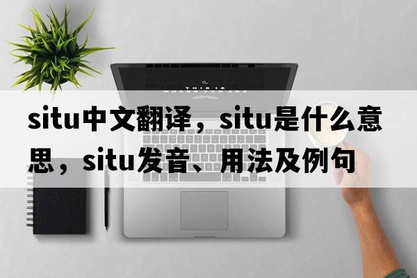 situ中文翻譯，situ是什么意思，situ發(fā)音、用法及例句