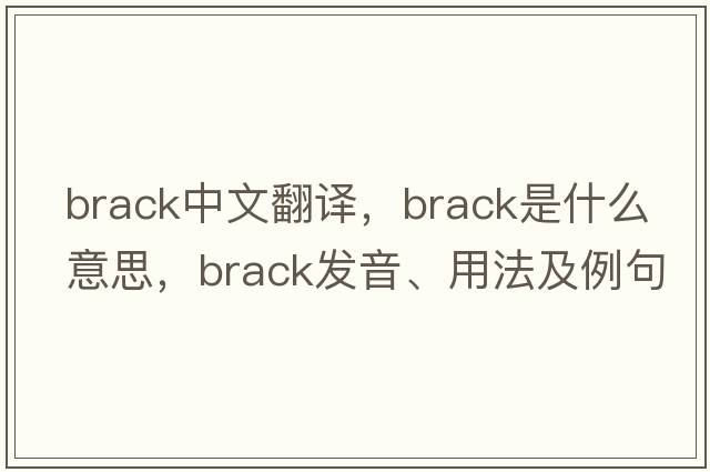 brack中文翻譯，brack是什么意思，brack發(fā)音、用法及例句