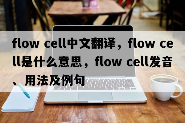 flow cell中文翻譯，flow cell是什么意思，flow cell發(fā)音、用法及例句