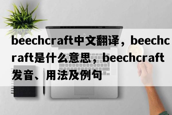 beechcraft中文翻譯，beechcraft是什么意思，beechcraft發(fā)音、用法及例句