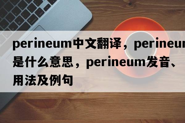 perineum中文翻譯，perineum是什么意思，perineum發(fā)音、用法及例句