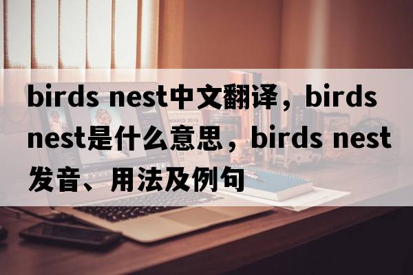 birds nest中文翻譯，birds nest是什么意思，birds nest發(fā)音、用法及例句