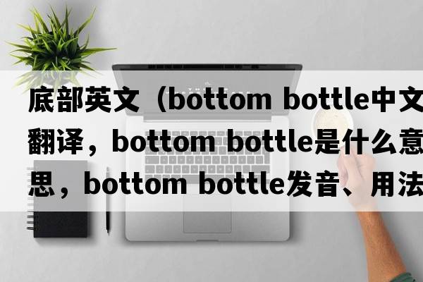 底部英文（bottom bottle中文翻譯，bottom bottle是什么意思，bottom bottle發(fā)音、用法及例句）