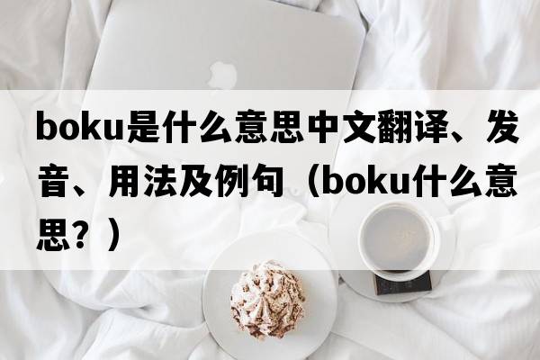Boku是什么意思中文翻譯、發(fā)音、用法及例句（boku什么意思？）
