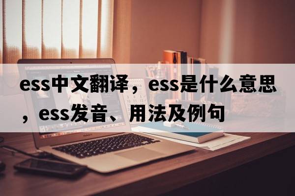 ess中文翻譯，ess是什么意思，ess發(fā)音、用法及例句