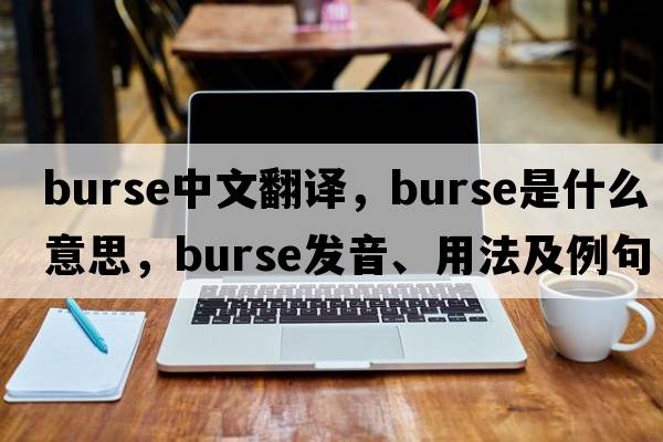 burse中文翻譯，burse是什么意思，burse發(fā)音、用法及例句