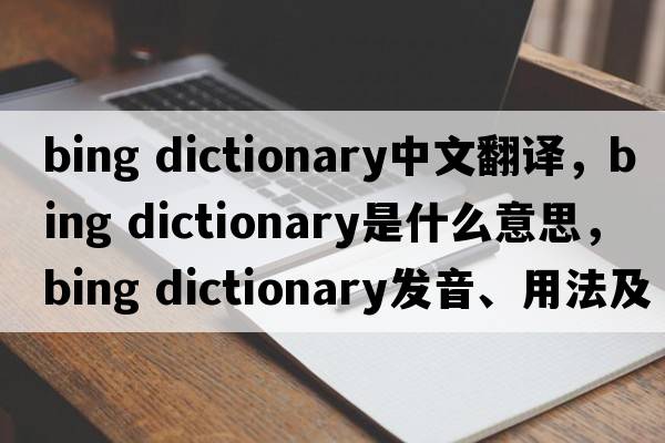 bing dictionary中文翻譯，bing dictionary是什么意思，bing dictionary發(fā)音、用法及例句
