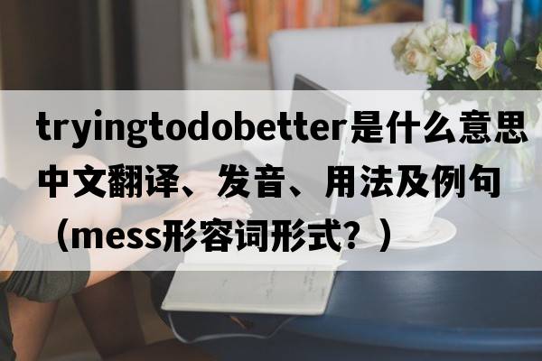 tryingtodobetter是什么意思中文翻譯、發(fā)音、用法及例句（mess形容詞形式？）
