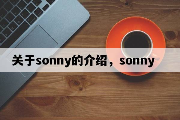 關(guān)于sonny的介紹，sonny