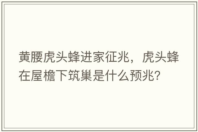 黃腰虎頭蜂進(jìn)家征兆，虎頭蜂在屋檐下筑巢是什么預兆？