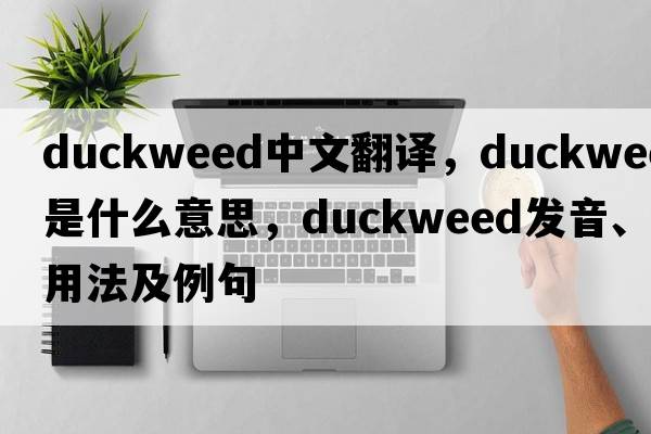 duckweed中文翻譯，duckweed是什么意思，duckweed發(fā)音、用法及例句