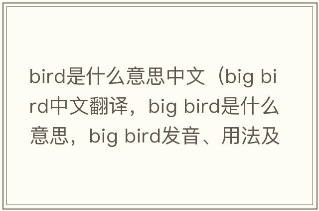 bird是什么意思中文（big bird中文翻譯，big bird是什么意思，big bird發(fā)音、用法及例句）