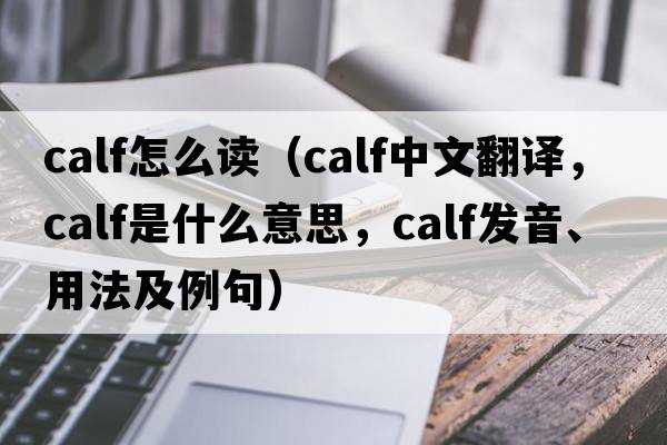 calf怎么讀（calf中文翻譯，calf是什么意思，calf發(fā)音、用法及例句）