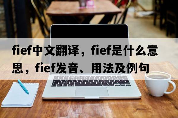 fief中文翻譯，fief是什么意思，fief發(fā)音、用法及例句