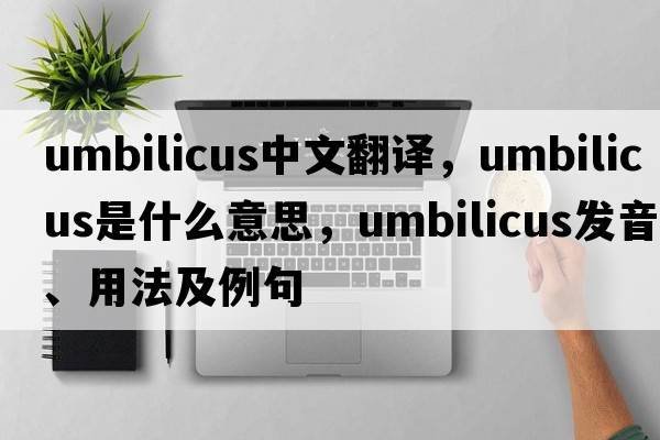 umbilicus中文翻譯，umbilicus是什么意思，umbilicus發(fā)音、用法及例句