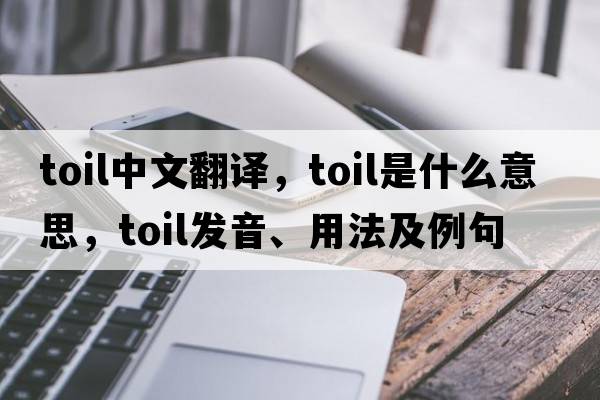 toil中文翻譯，toil是什么意思，toil發(fā)音、用法及例句