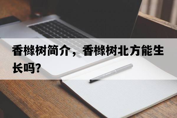 香櫞樹(shù)簡(jiǎn)介，香櫞樹(shù)北方能生長(cháng)嗎？