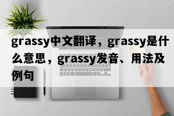 grassy中文翻譯，grassy是什么意思，grassy發(fā)音、用法及例句