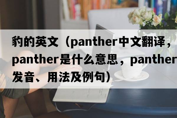 豹的英文（panther中文翻譯，panther是什么意思，panther發(fā)音、用法及例句）