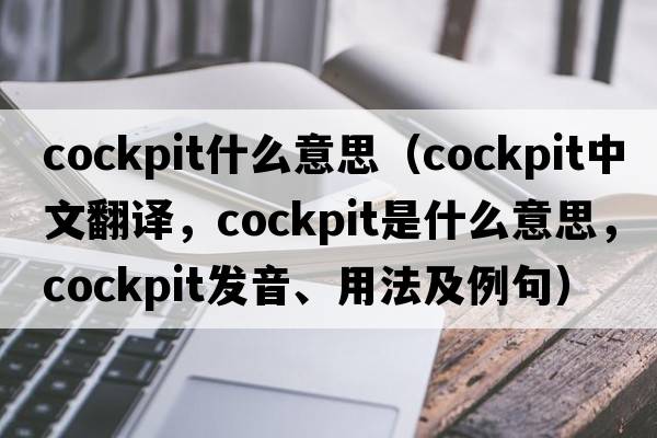 cockpit什么意思（cockpit中文翻譯，cockpit是什么意思，cockpit發(fā)音、用法及例句）