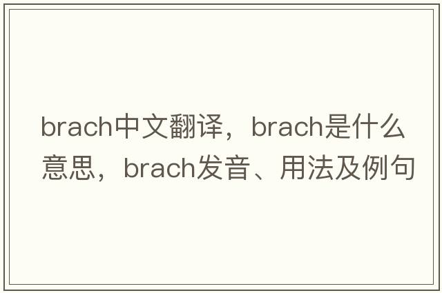 brach中文翻譯，brach是什么意思，brach發(fā)音、用法及例句