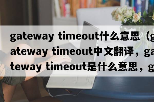 gateway timeout什么意思（gateway timeout中文翻譯，gateway timeout是什么意思，gateway timeout發(fā)音、用法及例句）